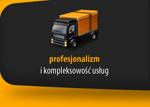 Profesjonalizm i kompleksowość usług